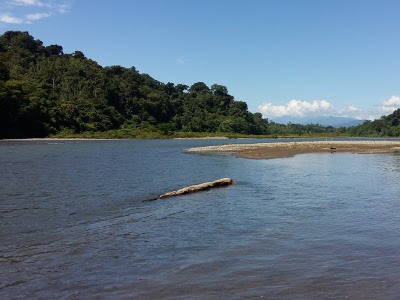 Río Yorkín